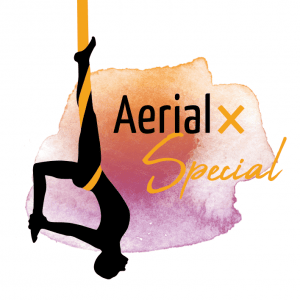 Aerial Yoga Tuch Aerial x Special Logo